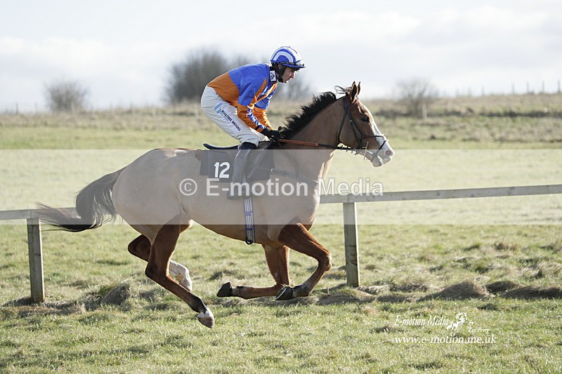 PtP 260223 1110 - South & West Wilts Point-to-Point Larkhill 26/02/23