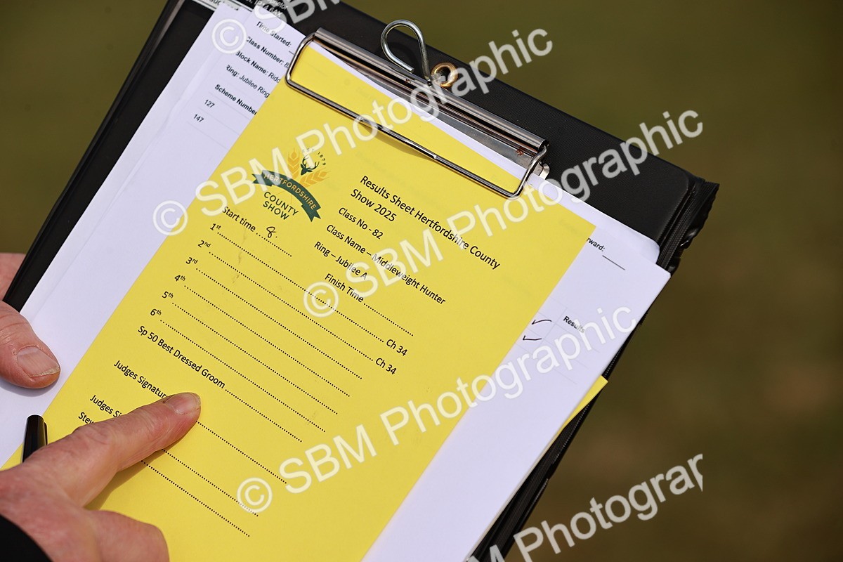 SBM_10837 - Class 81-84 - RIHS Ridden hunters Inc Ladies Hunter