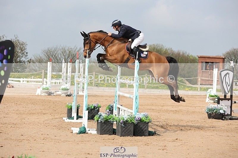 250424-104229-03177 - Cls 33 Young Horse 7yr old