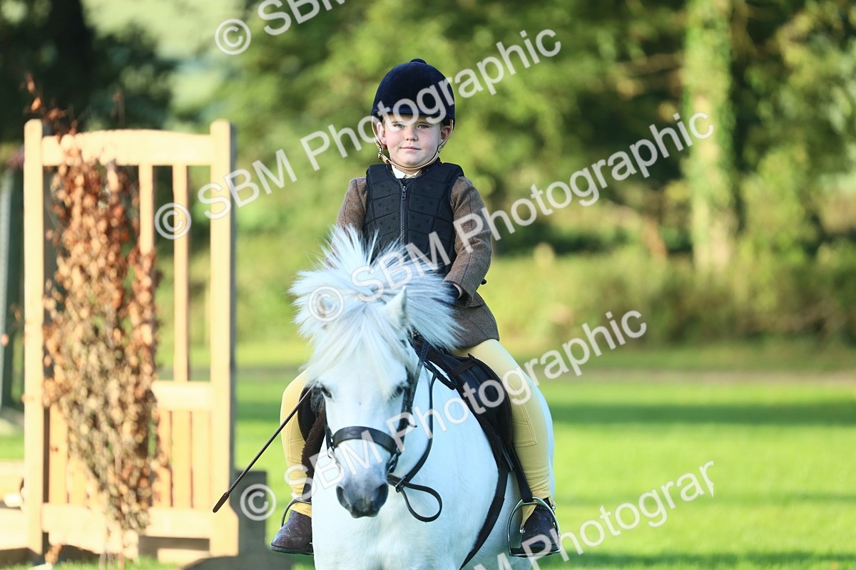 SBM_31790 - S28 - Nursery Stakes Working Hunter Pony