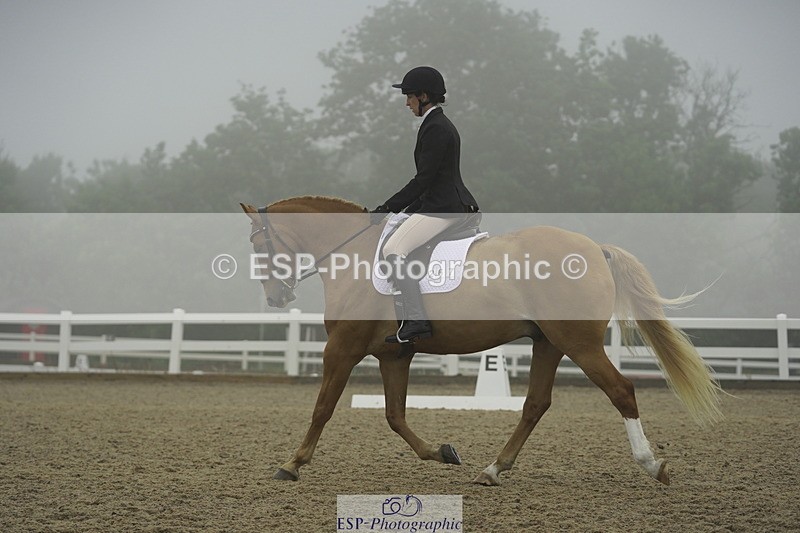 230708A-150012-03957 - Prelim 18