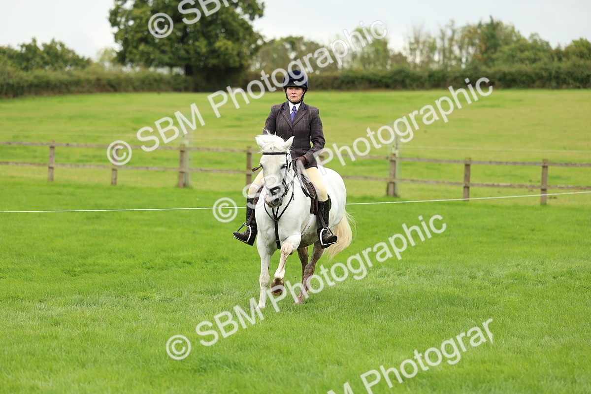 SBM_41826 - S32 - Mountain & Moorland Working Hunter Pony