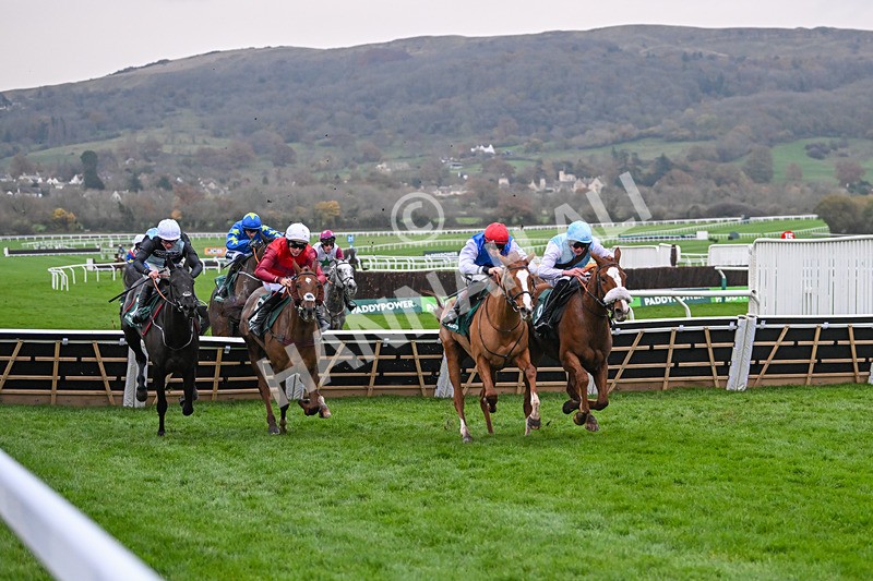 161124-Race 6-Hamsiyann-1463 - Race 6