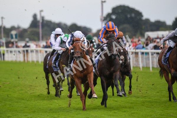 250823-Race 3-Lake Forest-0479 - Race 3 3.00pm Al Basti Equiworld Dubai Gimcrack Stakes