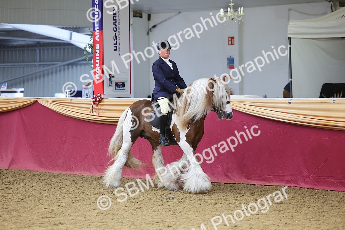 SBM_24476 - Class 906 - Supreme Final - Ridden Pre Vet