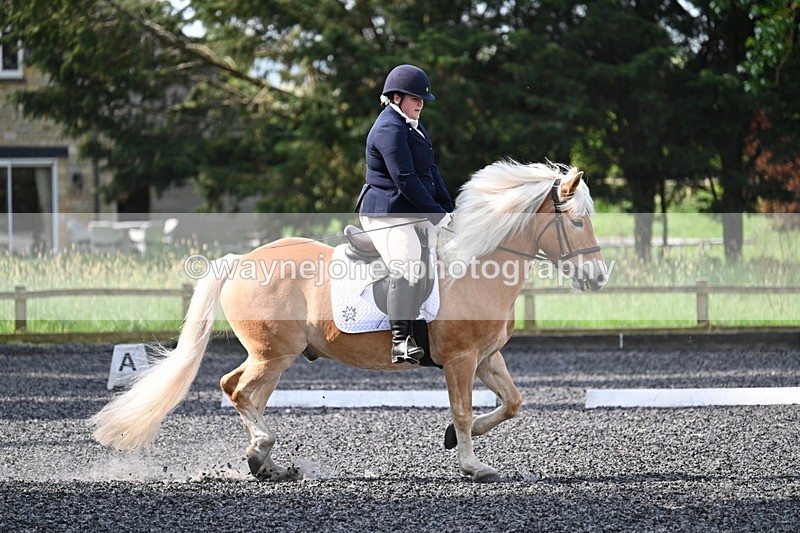 WJ7_8012 - Time 10:11 to 10:27