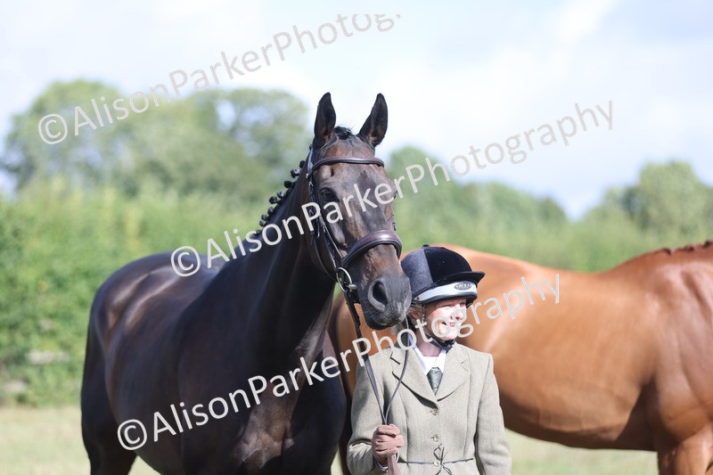 20250831-1527 - Class 21 - Inhand Open