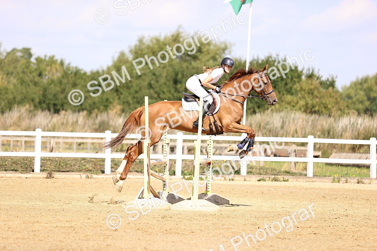 SBM_005804 - Class 9 - Senior British Novice - 90cm
