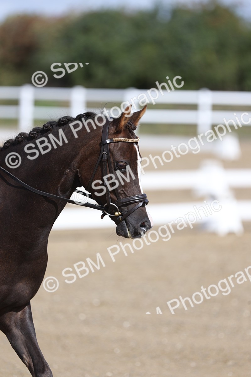 SBM_001298 - Class 2 - Intro 4 Champs - 10.56-11.44