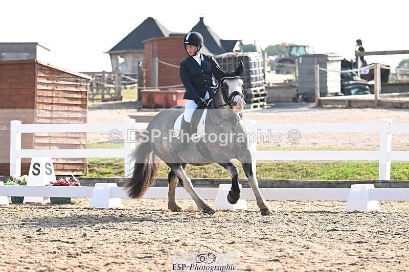 250816-090753-02838 - 055-Neve.HollowaySD.Out.of.the.Blue