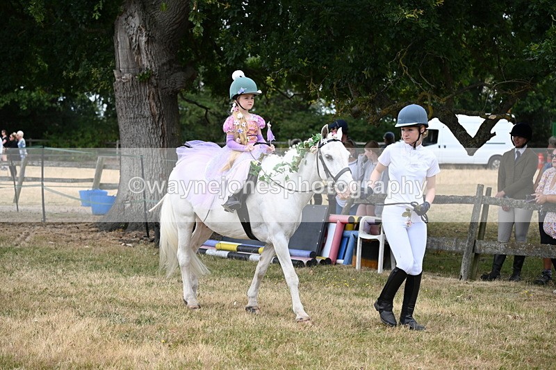 WJ6_4624 - Class 11 Fancy Dress