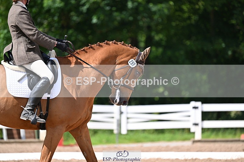 240622A-160958-12707 - Cls 35 BD Adv Medium 91