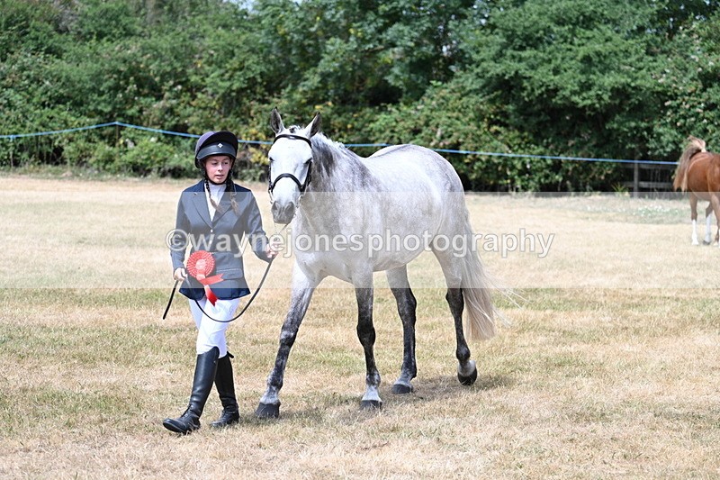 WJ7_2073 - Prettiest Mare Champs