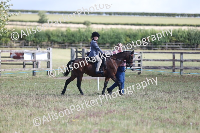 20250831-1009 - Class 15 - Ridden Veteran