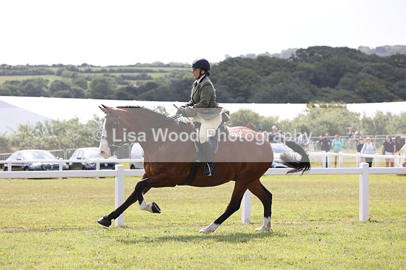 JPP_1292 - Class 17: Cornish Combination Open