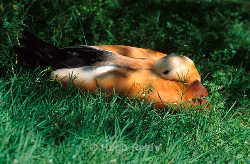  - Some Selected Images