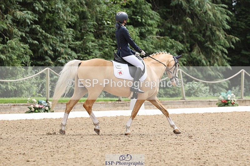 240810-143127-03662 - 301-Sophia.Longworth-Don.Deluxe