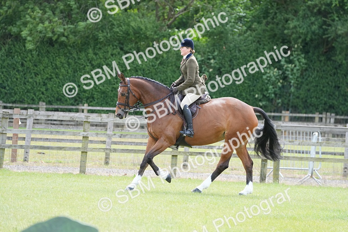 SBM_15015 - Class 100-102 - RIHS Working Hunter