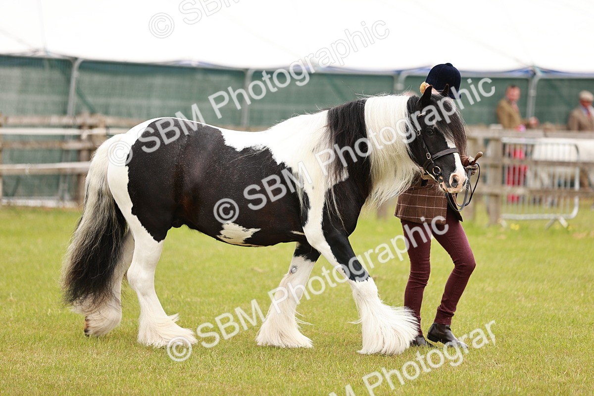 SBM_04622 - Class 5-8 - BSPA In hand