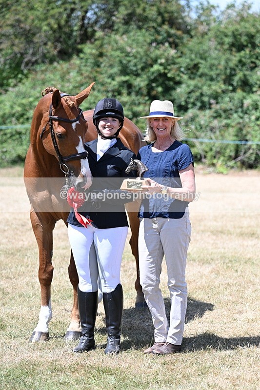 WJ7_2514 - Most Handsome Gelding Champs