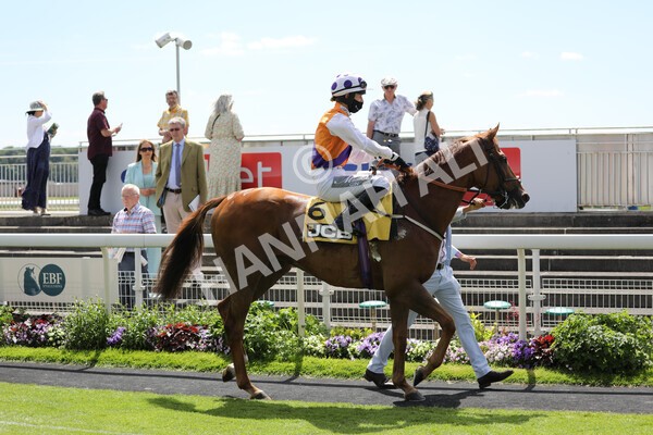 yr12062021r2-4 - Race 2 2.35pm The JCB Stakes