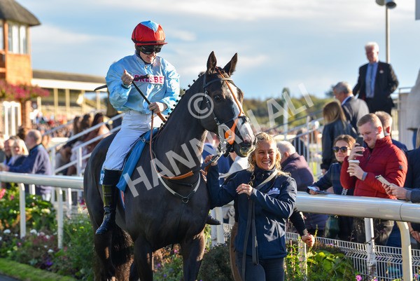 141023-Race 6-Punctuation-1467 - Race 6 4.10pm Coral Get Closer To The Action Handicap