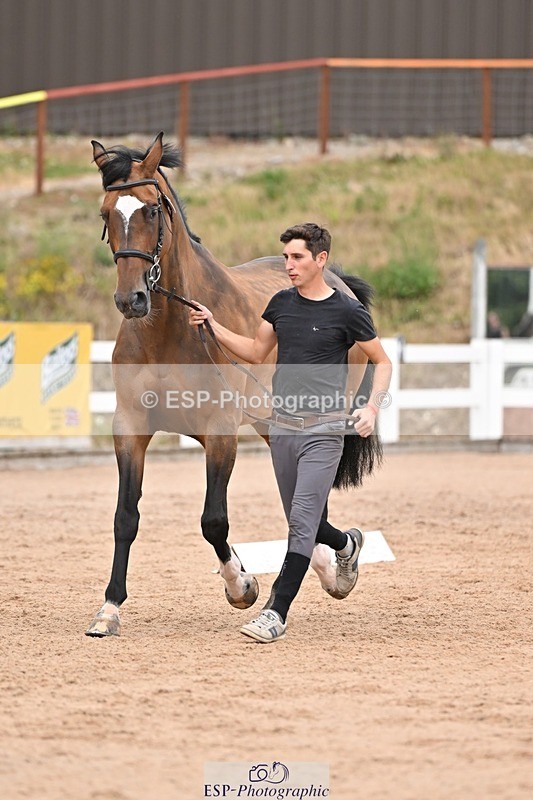 250716-161849-02553 - Trot Up 3.30 to 4.30