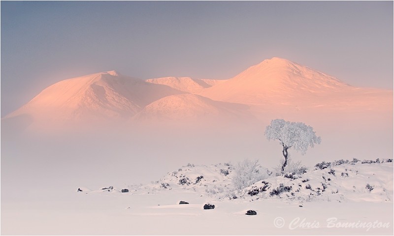 Frosty Rannoch - DPAGB Panel