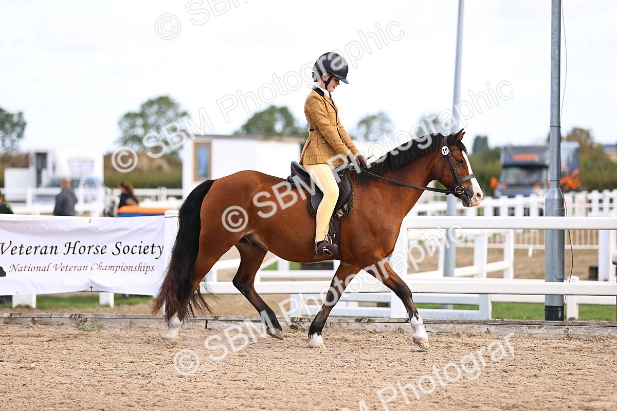 SBM_08998 - Class 403 - Grassroots Ridden - Junior