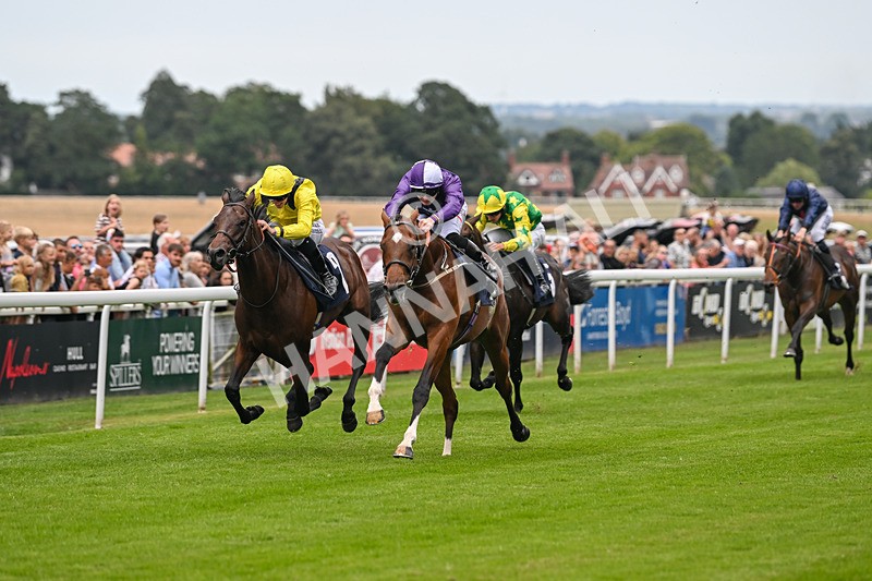 290725-Race 3-Ancient Egypt-0107 - Race 3