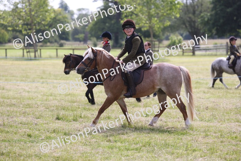 20260614-0755 - Class 20 - Beginners Working Hunter Pony