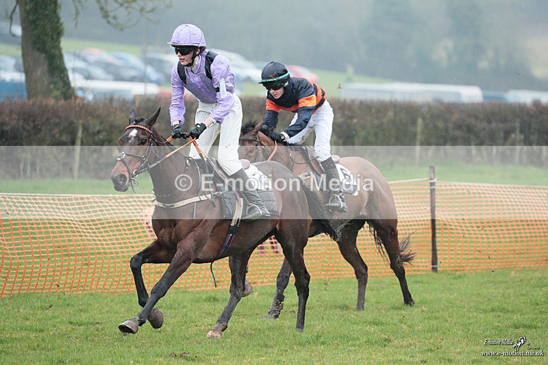 PtP 100324 309 - Pytchley with Woodland Point-to-Point Guilsborough 10/03/24