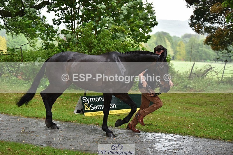 240522-151836-00248 - 319-RLE_KHALEESI_C-Christopher_Wincer