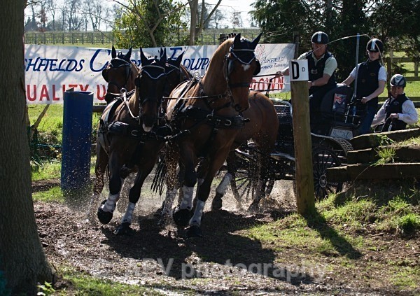 _DSC0268 - Ashfields Carriage & Polo Club