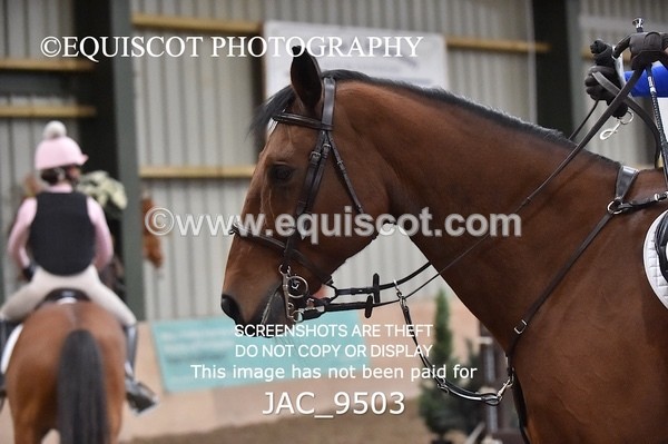 JAC_9503 - CLASS 8 - ARENA EVENTING PONY CLUB QUALIFIER 1M