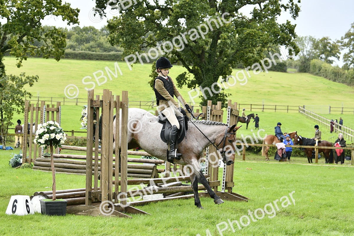 SBM_41461 - S32 - Mountain & Moorland Working Hunter Pony