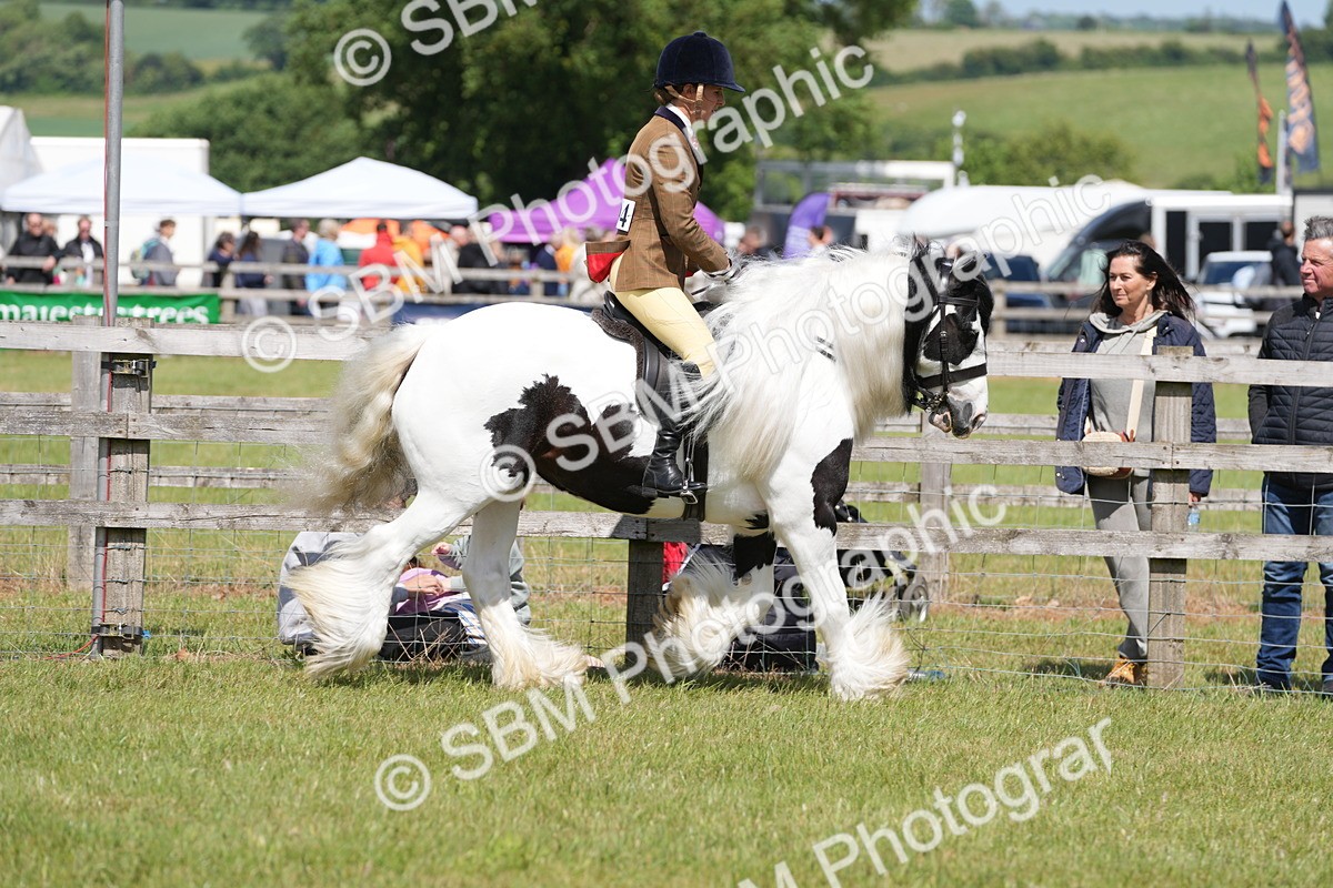 SBM_17089 - Class 107-108 - LIHS BSPS Performance Coloured Horse Pony