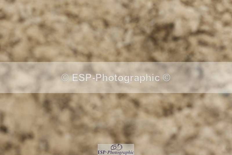 240817-113147-00985 - 03A Snr Disc