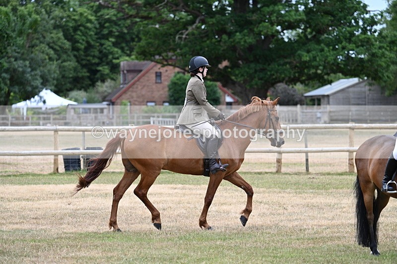 WJ7_0392 - Class 2 Best rider