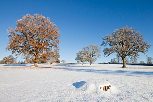 snow, dorchester, dorset, landscape, december, kjw, kjwphotography