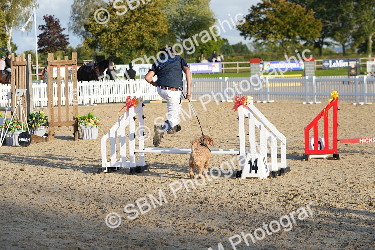 SBM_29453 - J44 - Horse & Hound Open 70cm