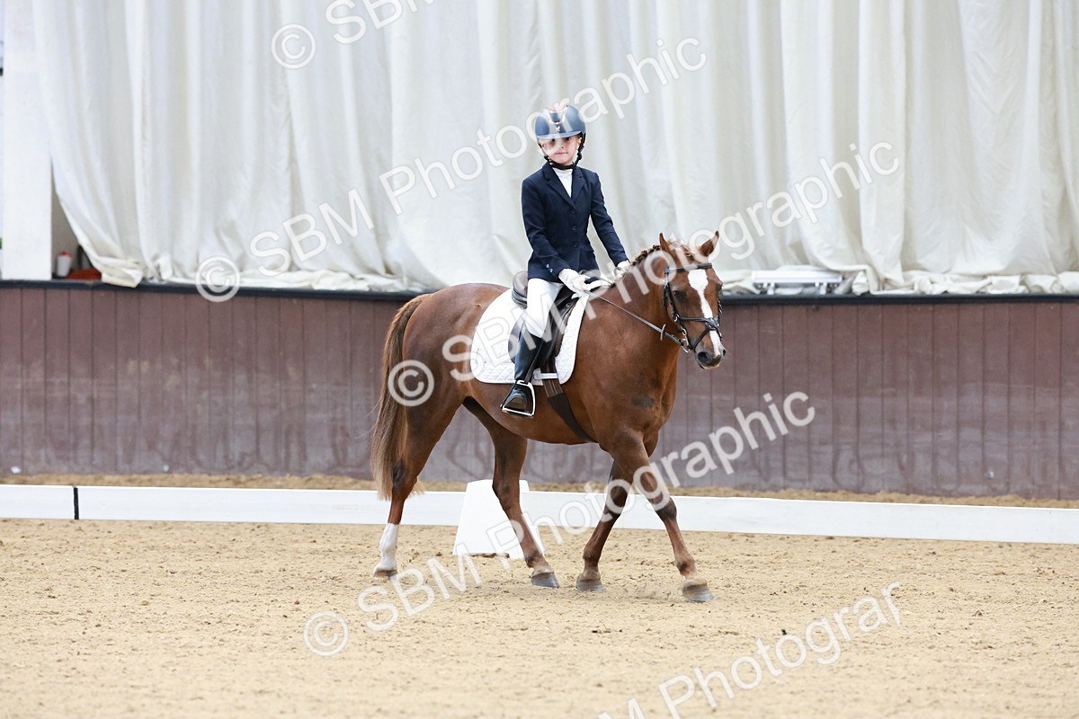 SBM_003148 - Intro 2