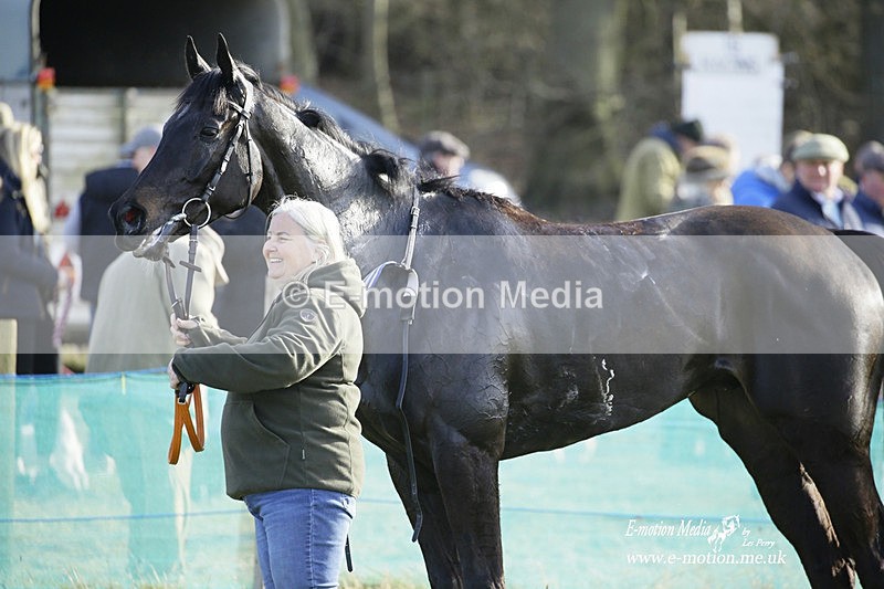 PtP 260222 772 - Kingston Blount Racing Club Point-to-Point 26/02/22