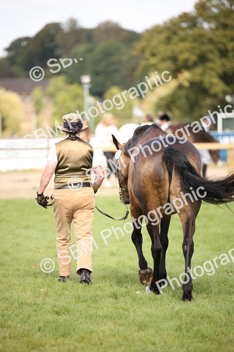 SBM_44477 - S24 - Young Veteran in hand