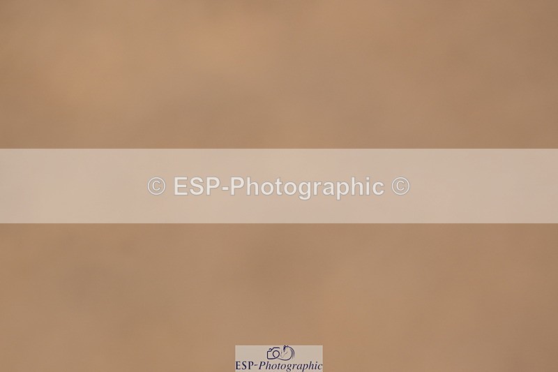 240323A-143808-02270 - UnA Prelim 14