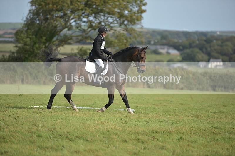 RAY_7922 - Class 2B: Trekenning Open: Dressage
