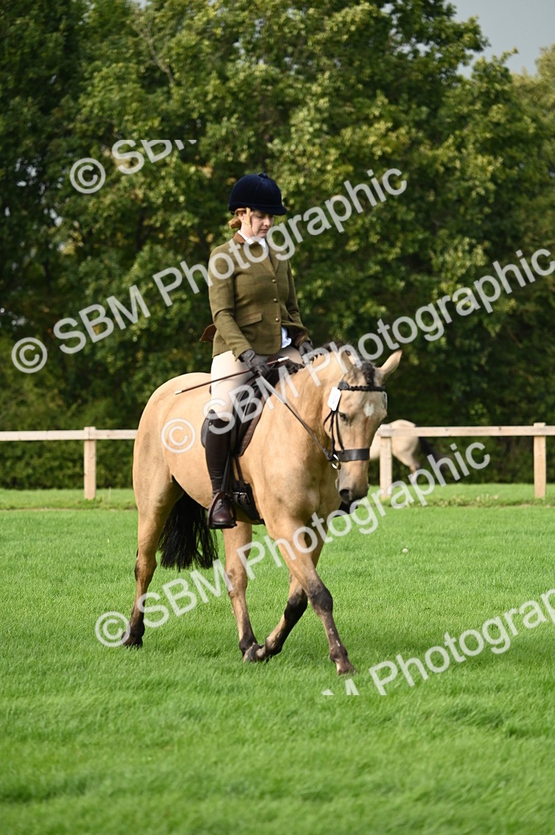 SBM_26389 - S6 - Novice & newcomer Ridden horse