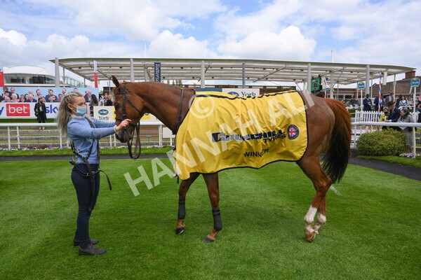 yr12052021r2-78 - Race 2 2.10pm Churchill Tyres Stakes