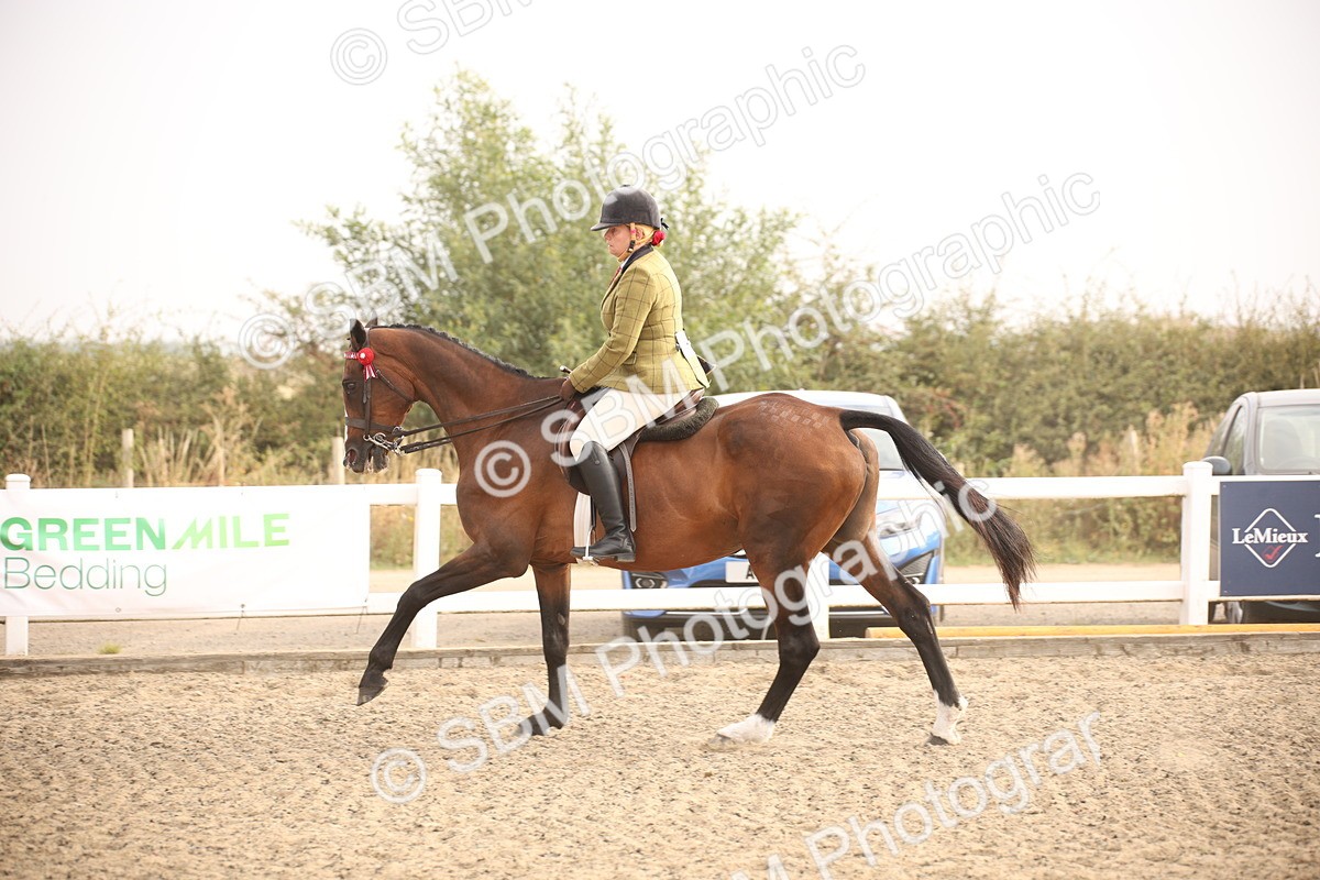 SBM_10217 - Class 402 Riding Club Horse