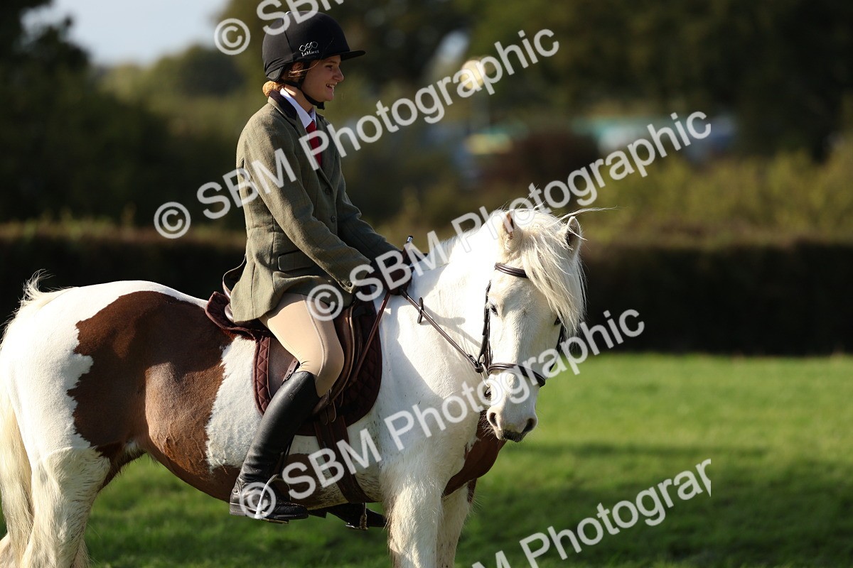 SBM_52492 - S13 - Pony Club Pony